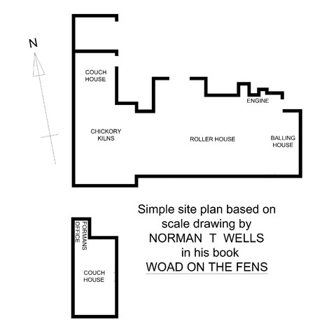 SITE-